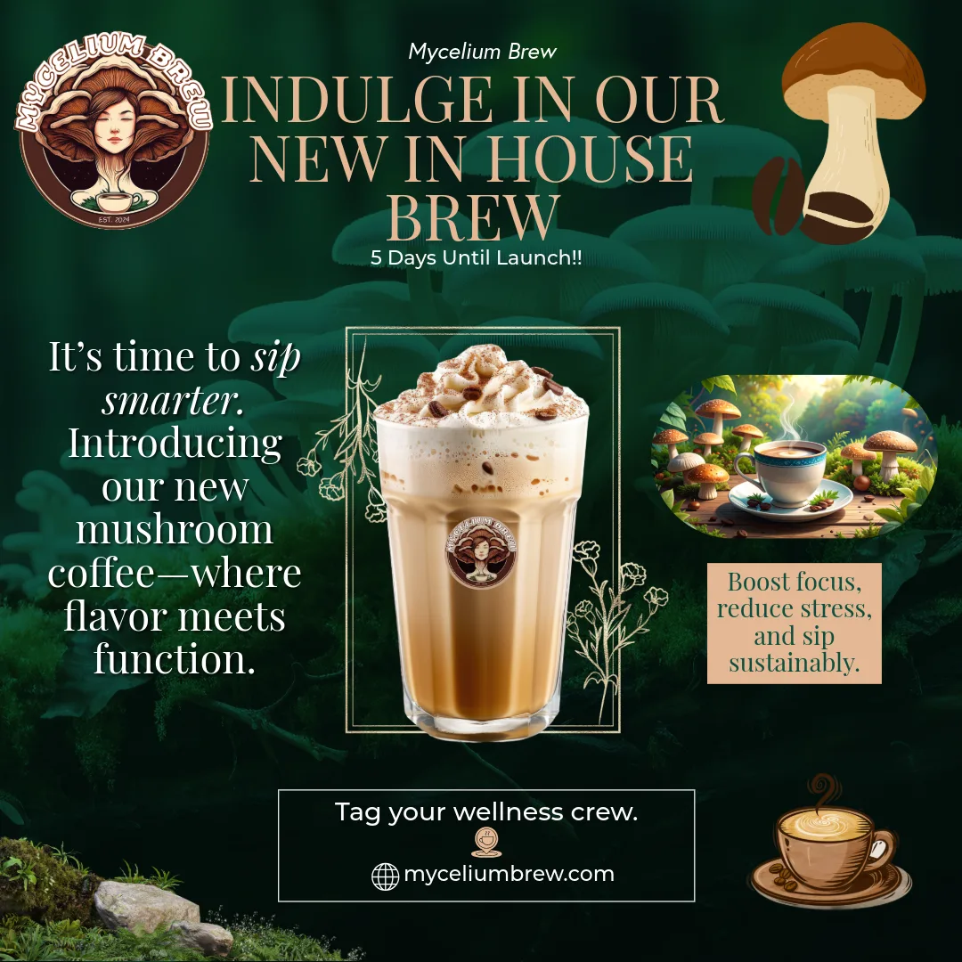 Mushroom Coffee Campaign